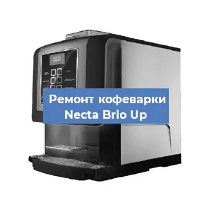 Чистка кофемашины Necta Brio Up от кофейных масел в Екатеринбурге